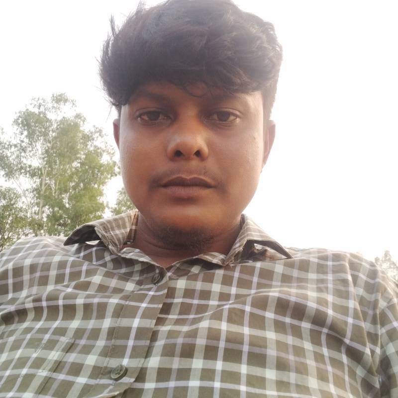 Md mehedi, 30, taxes